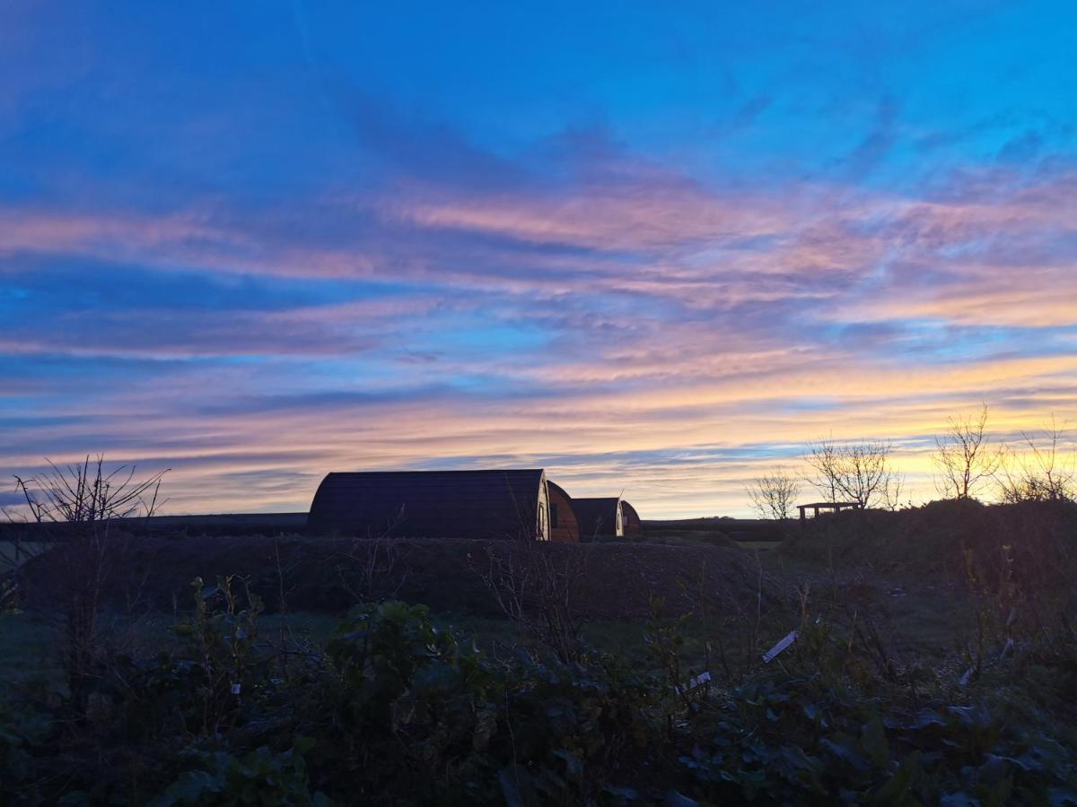 Glamping Pods Nr Port Isaac Villa Exterior photo